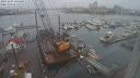 ./images/victoria/wharf/20231204/wharf20231204_094500.jpg