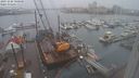 ./images/victoria/wharf/20231204/wharf20231204_100001.jpg
