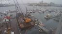 ./images/victoria/wharf/20231204/wharf20231204_100500.jpg