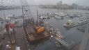 ./images/victoria/wharf/20231204/wharf20231204_101000.jpg