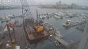 ./images/victoria/wharf/20231204/wharf20231204_101501.jpg