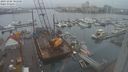 ./images/victoria/wharf/20231204/wharf20231204_105500.jpg