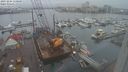 ./images/victoria/wharf/20231204/wharf20231204_110001.jpg
