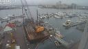 ./images/victoria/wharf/20231204/wharf20231204_110501.jpg