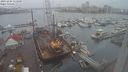 ./images/victoria/wharf/20231204/wharf20231204_113500.jpg