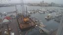 ./images/victoria/wharf/20231204/wharf20231204_131500.jpg