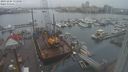 ./images/victoria/wharf/20231204/wharf20231204_132000.jpg