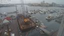 ./images/victoria/wharf/20231204/wharf20231204_132500.jpg