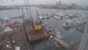 ./images/victoria/wharf/20231204/wharf20231204_133001.jpg