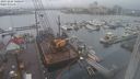 ./images/victoria/wharf/20231204/wharf20231204_140500.jpg