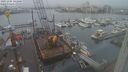 ./images/victoria/wharf/20231204/wharf20231204_141500.jpg