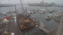 ./images/victoria/wharf/20231204/wharf20231204_153501.jpg