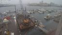 ./images/victoria/wharf/20231204/wharf20231204_154000.jpg