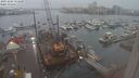 ./images/victoria/wharf/20231204/wharf20231204_154500.jpg