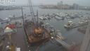 ./images/victoria/wharf/20231204/wharf20231204_155000.jpg