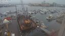 ./images/victoria/wharf/20231204/wharf20231204_155501.jpg