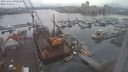 ./images/victoria/wharf/20231205/wharf20231205_090501.jpg