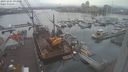 ./images/victoria/wharf/20231205/wharf20231205_093500.jpg