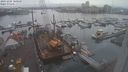 ./images/victoria/wharf/20231205/wharf20231205_100000.jpg