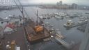 ./images/victoria/wharf/20231205/wharf20231205_103000.jpg
