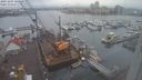 ./images/victoria/wharf/20231205/wharf20231205_104001.jpg