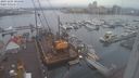 ./images/victoria/wharf/20231205/wharf20231205_105000.jpg