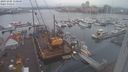 ./images/victoria/wharf/20231205/wharf20231205_110000.jpg