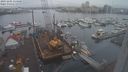 ./images/victoria/wharf/20231205/wharf20231205_114500.jpg