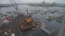 ./images/victoria/wharf/20231205/wharf20231205_115001.jpg