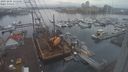 ./images/victoria/wharf/20231205/wharf20231205_131500.jpg