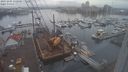./images/victoria/wharf/20231205/wharf20231205_132000.jpg
