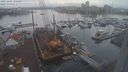 ./images/victoria/wharf/20231205/wharf20231205_135000.jpg
