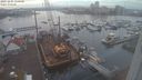 ./images/victoria/wharf/20231205/wharf20231205_150500.jpg