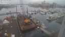 ./images/victoria/wharf/20231206/wharf20231206_083000.jpg