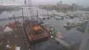 ./images/victoria/wharf/20231206/wharf20231206_083501.jpg