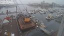 ./images/victoria/wharf/20231206/wharf20231206_101500.jpg