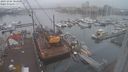 ./images/victoria/wharf/20231206/wharf20231206_104500.jpg