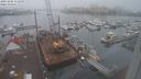 ./images/victoria/wharf/20231206/wharf20231206_111500.jpg