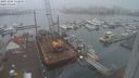 ./images/victoria/wharf/20231206/wharf20231206_112500.jpg