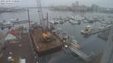 ./images/victoria/wharf/20231206/wharf20231206_113501.jpg