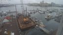 ./images/victoria/wharf/20231206/wharf20231206_114501.jpg
