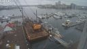 ./images/victoria/wharf/20231206/wharf20231206_120500.jpg
