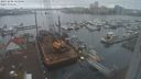 ./images/victoria/wharf/20231206/wharf20231206_122500.jpg