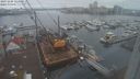 ./images/victoria/wharf/20231206/wharf20231206_124500.jpg