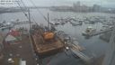 ./images/victoria/wharf/20231206/wharf20231206_125001.jpg