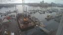 ./images/victoria/wharf/20231207/wharf20231207_111500.jpg