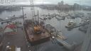 ./images/victoria/wharf/20231207/wharf20231207_112001.jpg