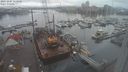 ./images/victoria/wharf/20231207/wharf20231207_112500.jpg