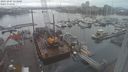 ./images/victoria/wharf/20231207/wharf20231207_113000.jpg
