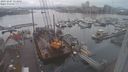 ./images/victoria/wharf/20231207/wharf20231207_113501.jpg
